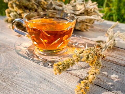 Albanian Mountain Tea Sideritis in a cup