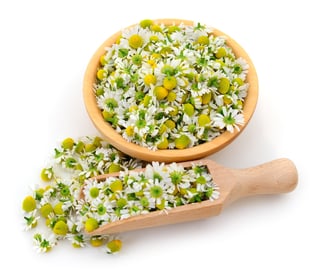Dried chamomile flowers